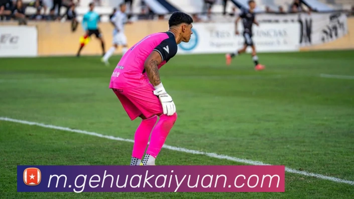 开元棋牌APP 封面图